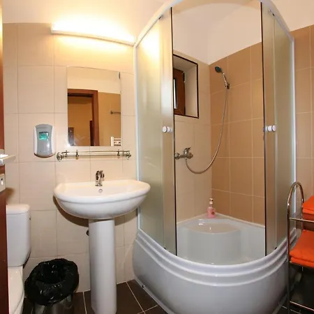 Guest house Pensiunea Belvedere Cincis